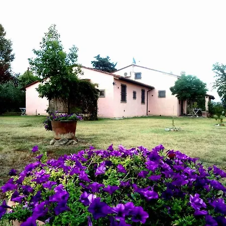 Apartment Le Casine-perignano-spinelli Sleeps 6 Cortona